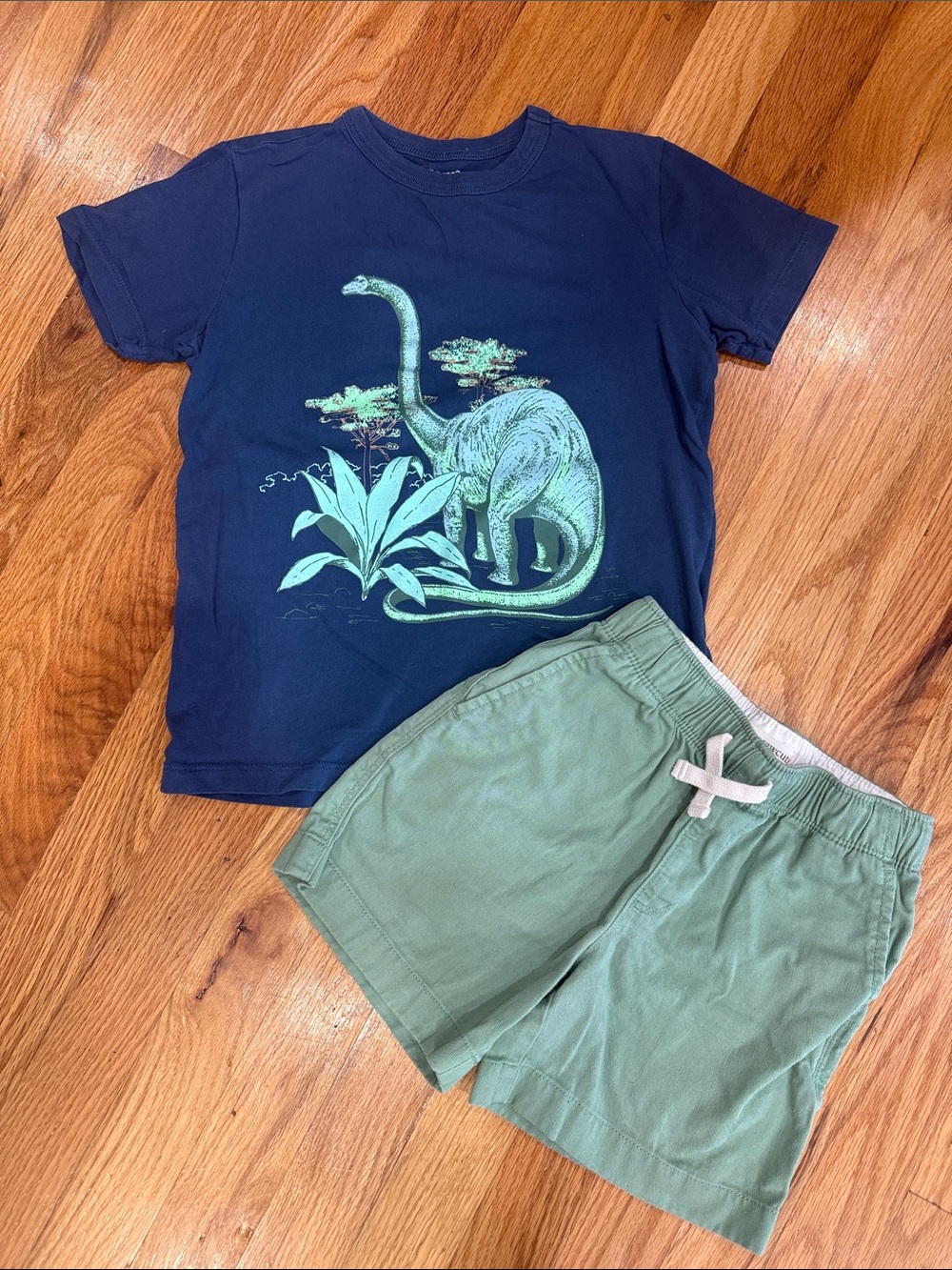 Crew cuts Navy Dinosaur Graphic Tee with Green shorts
